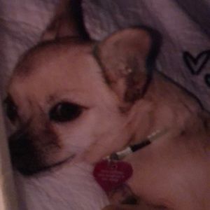 Meet your Posher, Aubrey